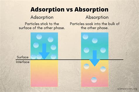 absorption 意味|absorption vs adsorption.